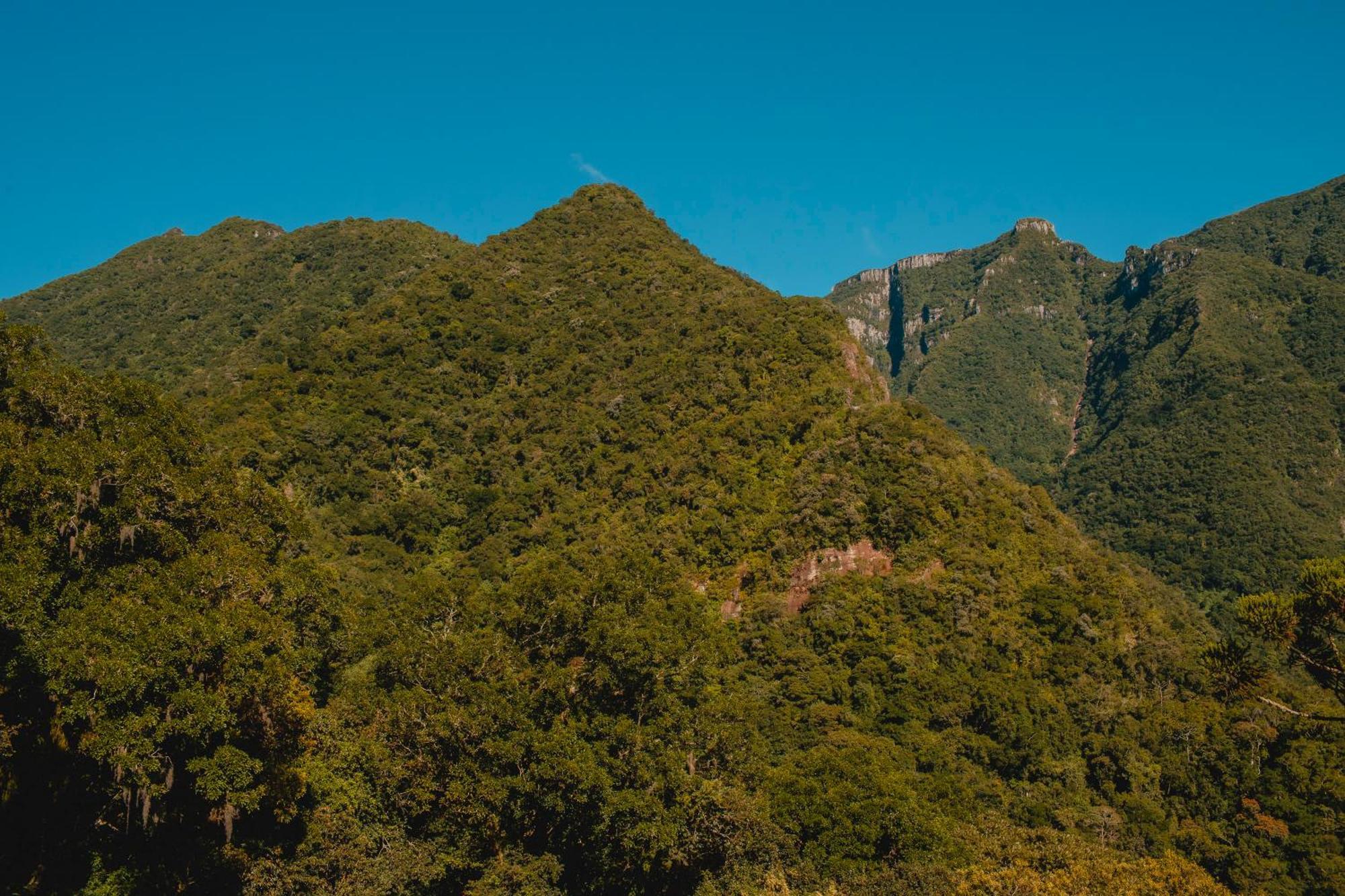 Отель Pousada Bugio Da Serra Novo Horizonte  Экстерьер фото